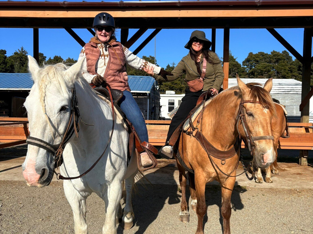 Bandon Beach Riding Stables-班登必去景点
