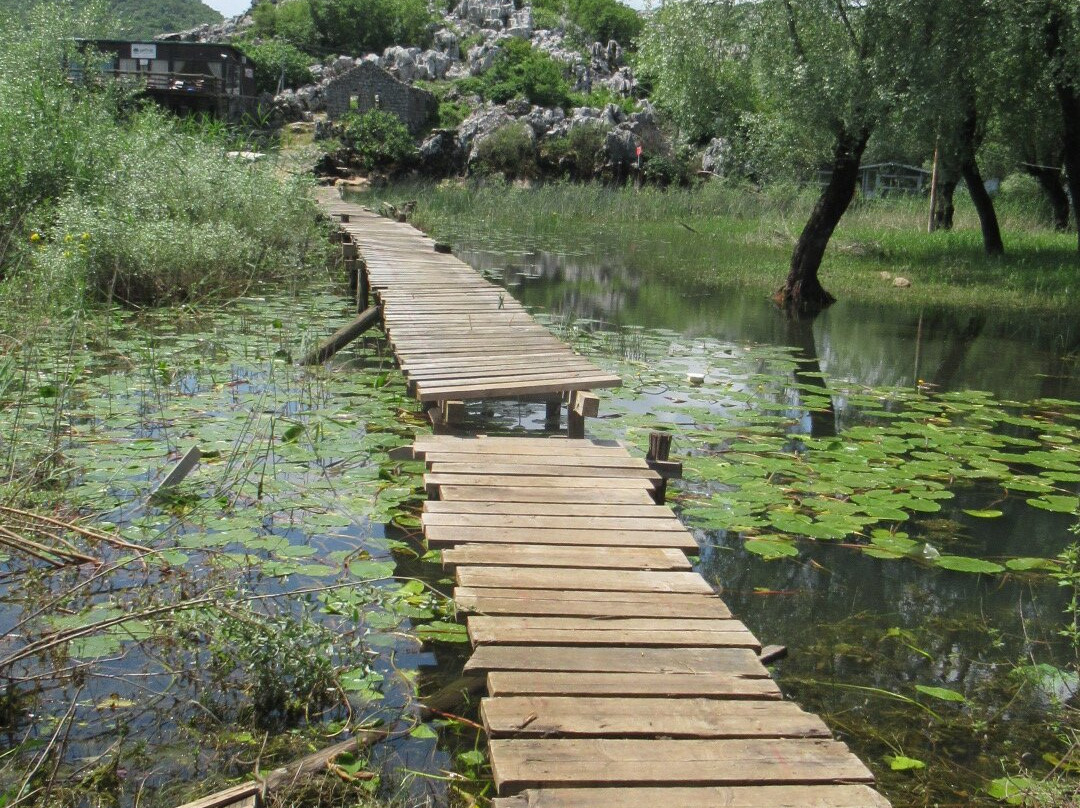 Enjoy Skadar Lake-Rijeka Crnojevica必去景点