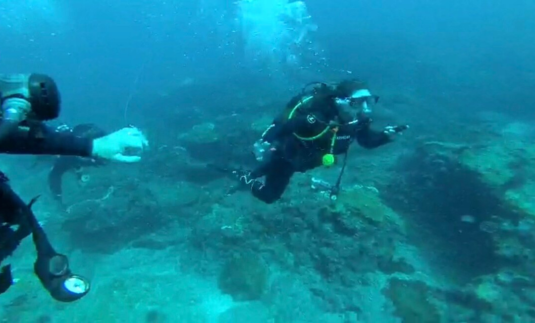 Odyssea Dive-Vilanculos必去景点