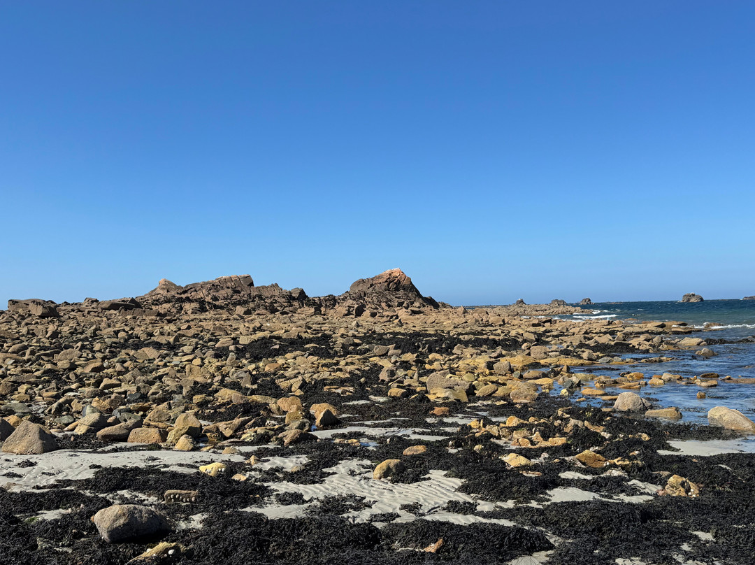 Pointe De Primel