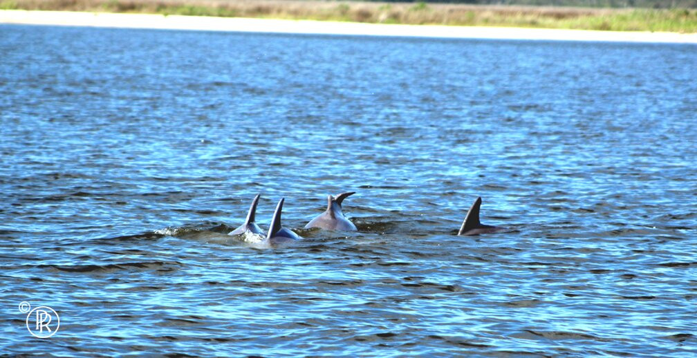 Outer Banks Adventures & Watersports-纳格斯海德必去景点