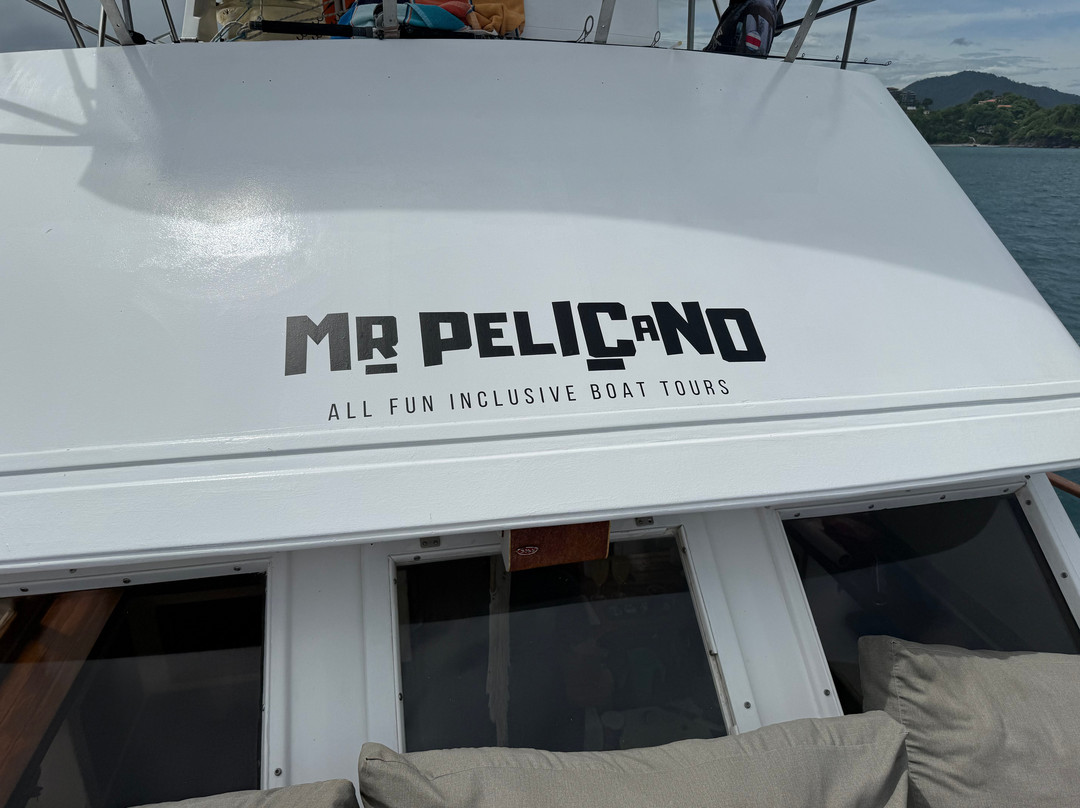 Mr Pelicano Boat Tours景点图片
