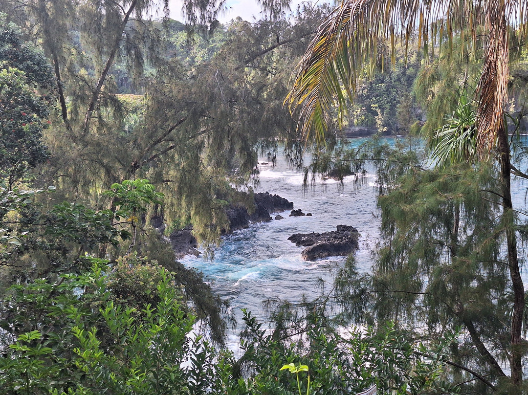 Pepeekeo Scenic Drive-希洛必去景点