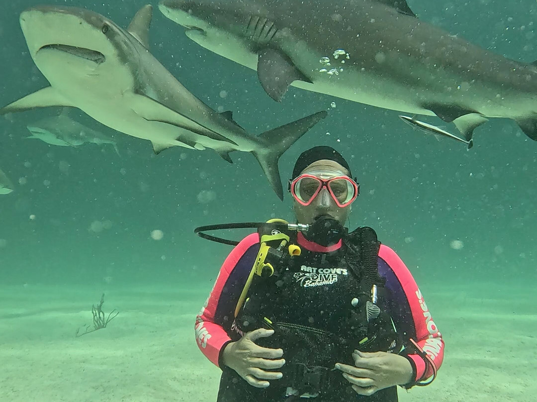 Stuart Cove's-拿骚必去景点