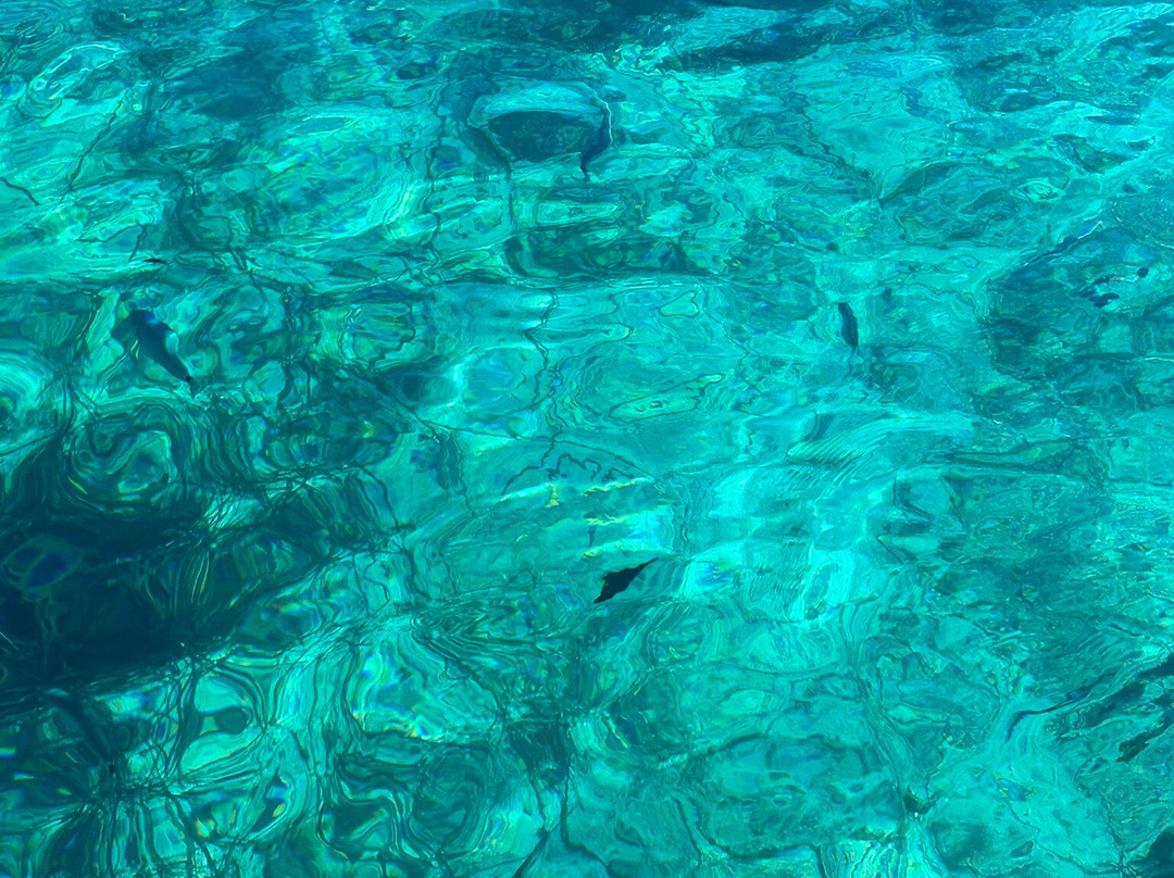 My Island La Maddalena in Barca a vela-La Maddalena必去景点