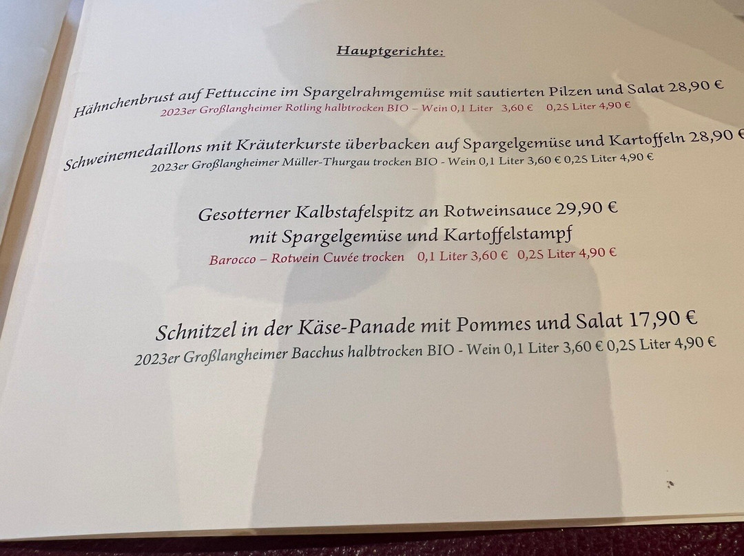 Der Patrizierhof Weingut & Gasthof主图