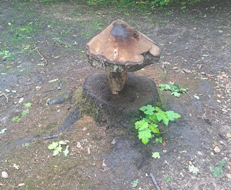 Skovsnogen - Deep Forest Artland-奇贝克必去景点
