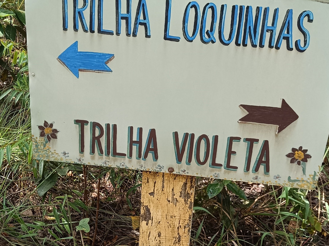 Cachoeira Loquinhas-上帕拉伊苏迪戈亚斯必去景点