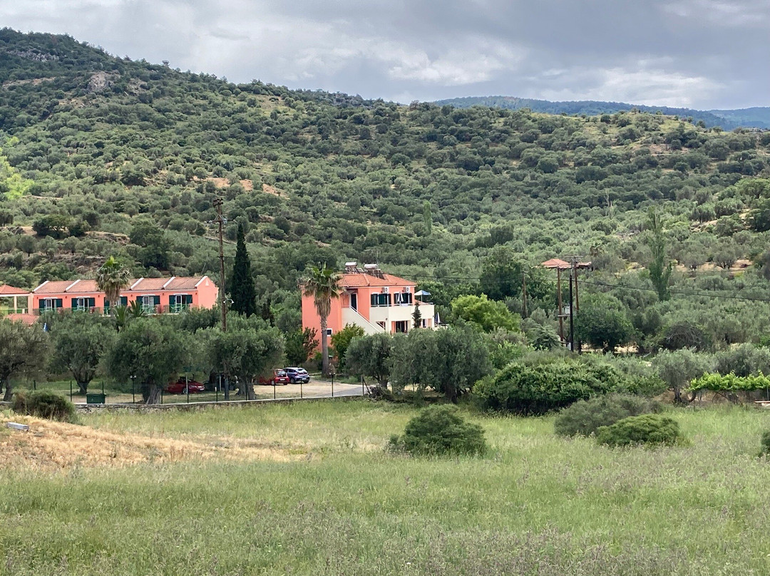 哈里斯公寓式酒店主图