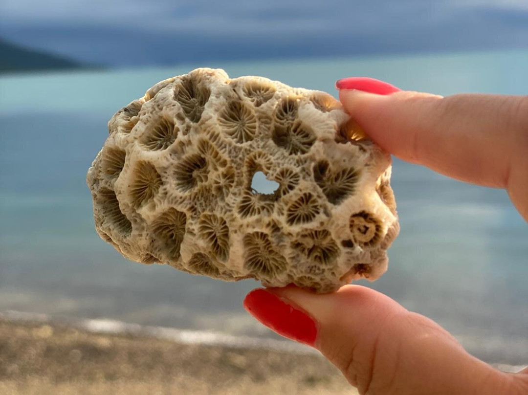 Coral Beach and the Beak, Conway National Park-舒特港必去景点