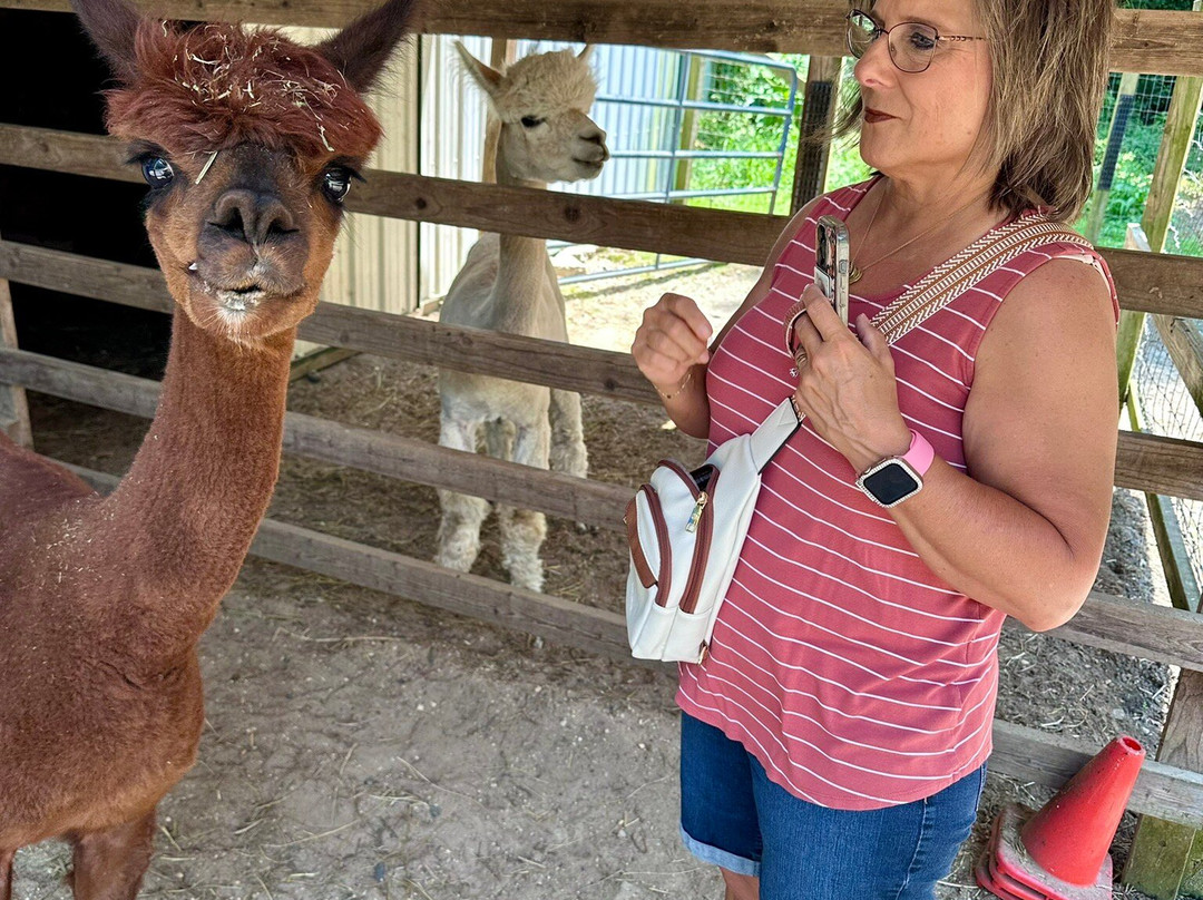 Jersey Shore Alpacas景点图片
