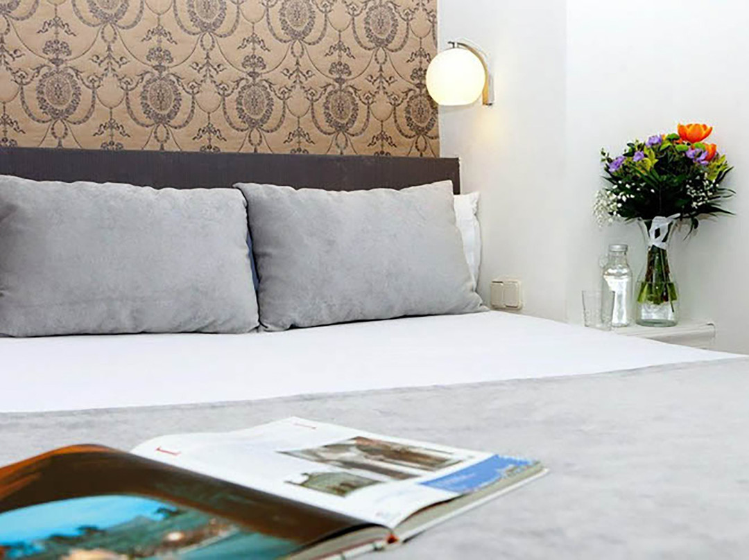 Las Nieves酒店住宿-托莱多帝国酒店