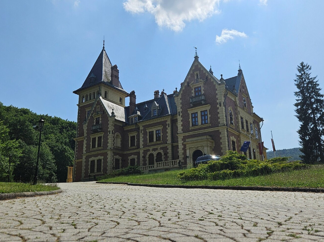 Kastélyhotel Sasvár Resort主图