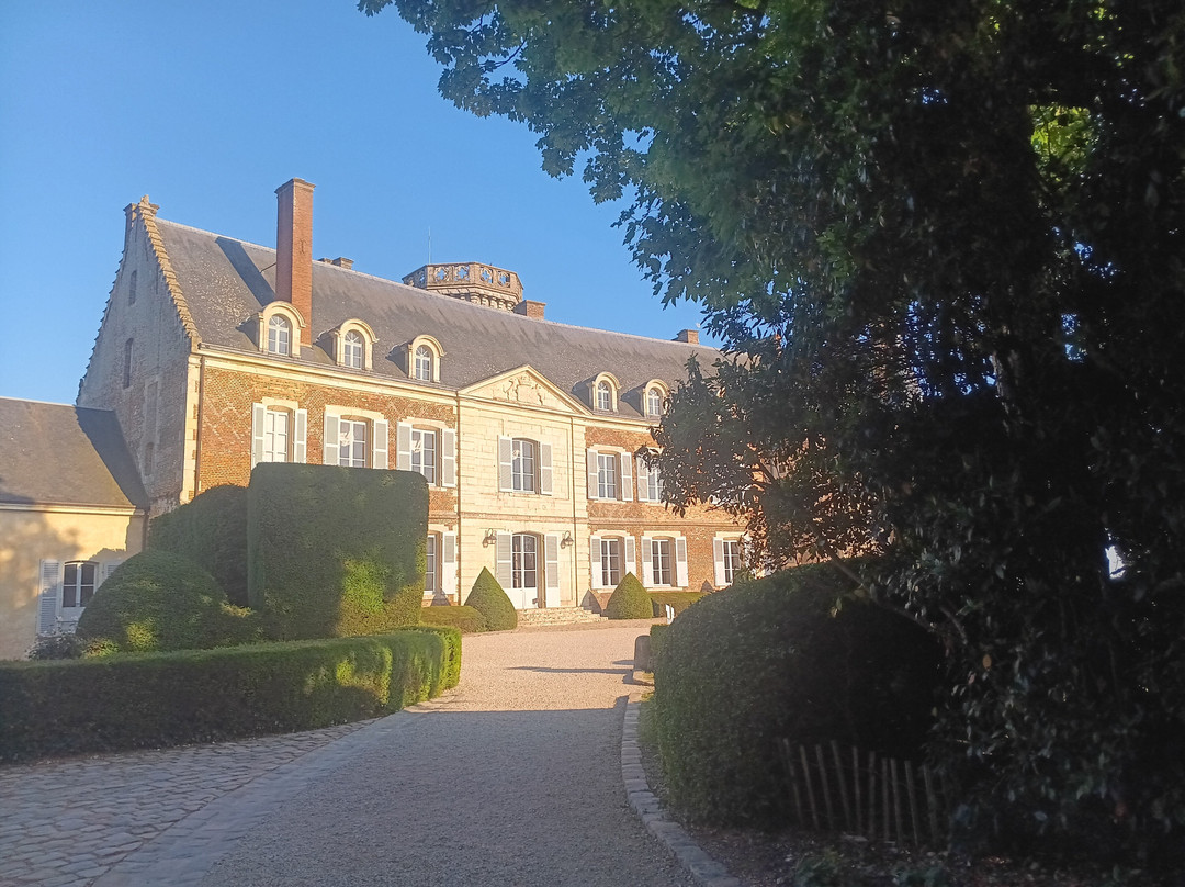 Chateau de Montmirail景点图片