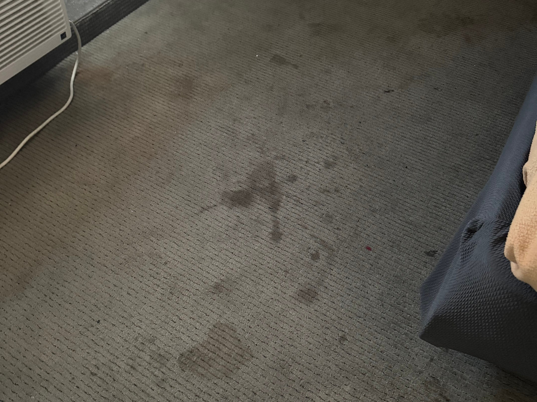 The Vegas Hotel主图