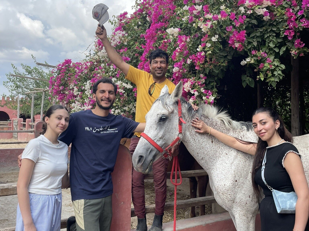 Club Equus Hammamet-哈玛麦德必去景点