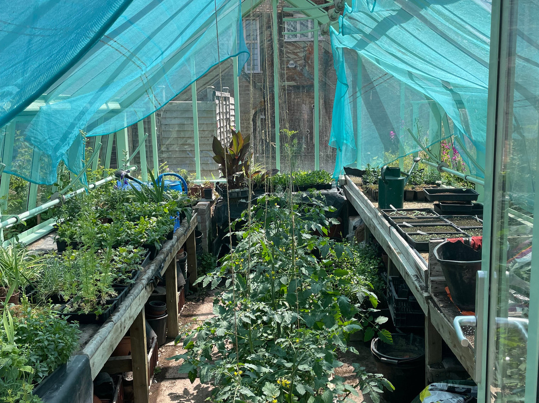 The Manor House-Upton Grey必去景点