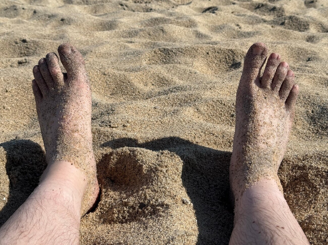 Crinnis Beach-圣奥斯特尔必去景点