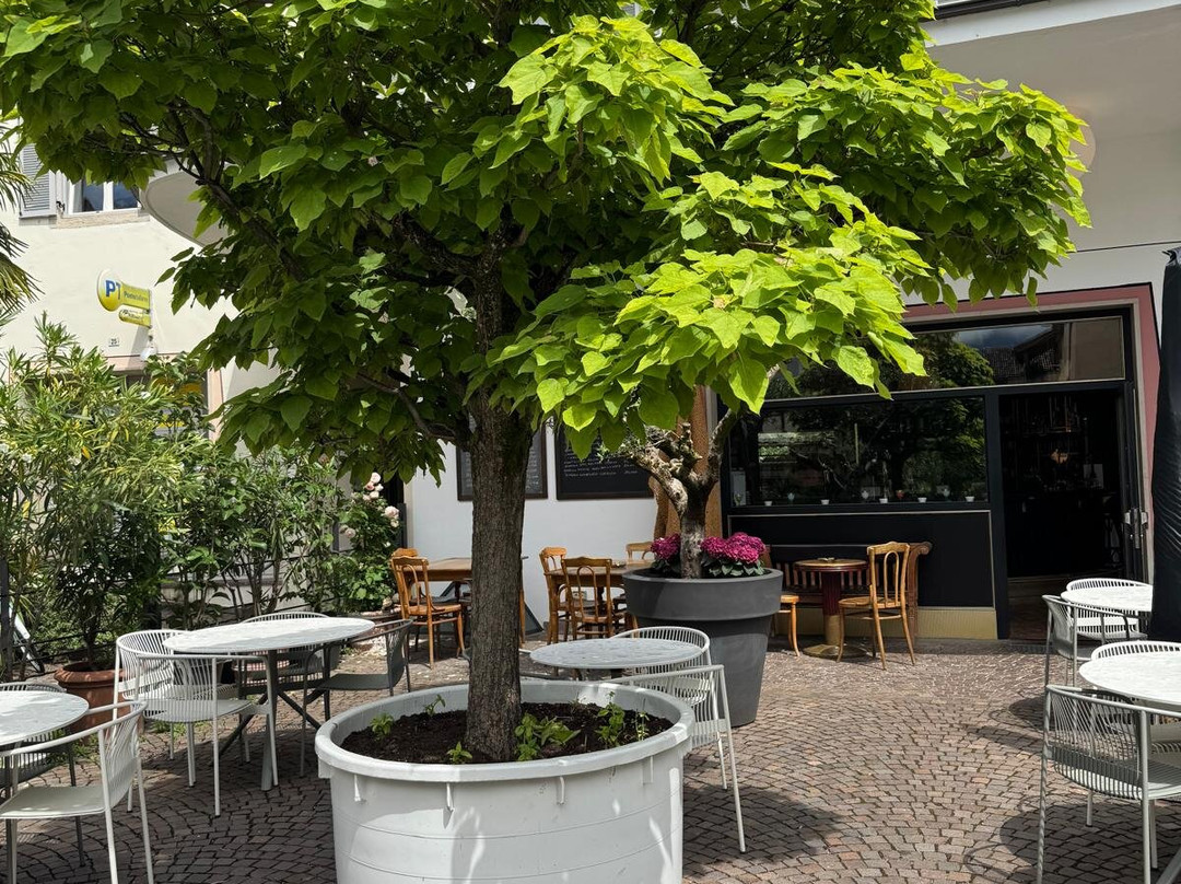 Hotel Zur Post主图