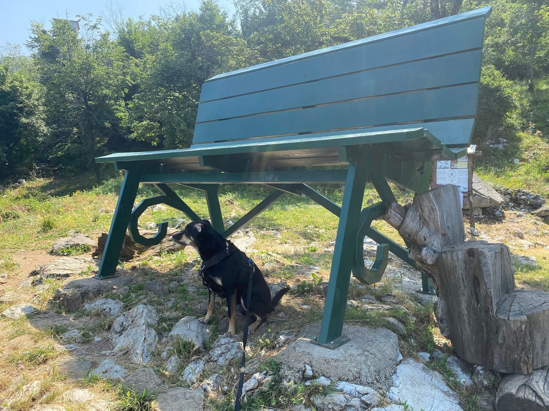 拉泰莎农庄酒店主图