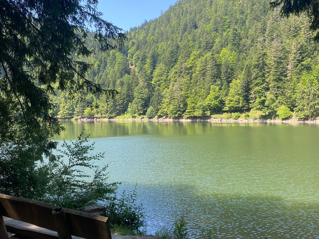 Le Lac des Corbeaux-La Bresse必去景点