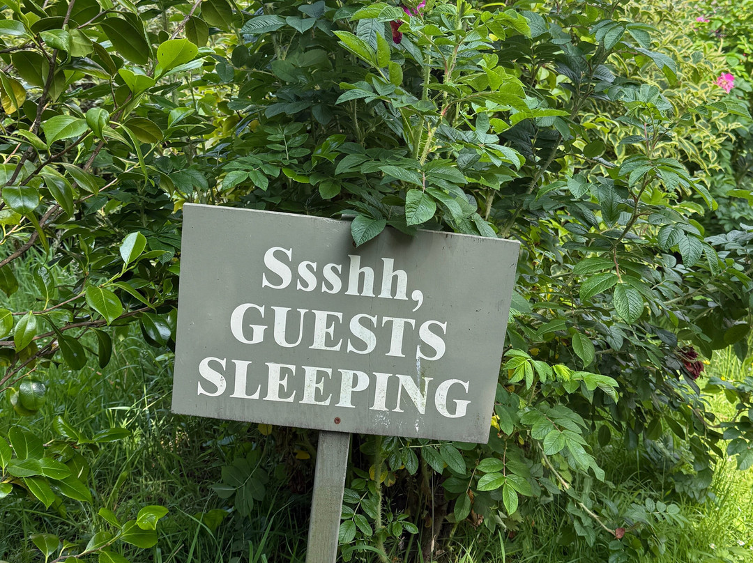 THE PIG - at Combe主图