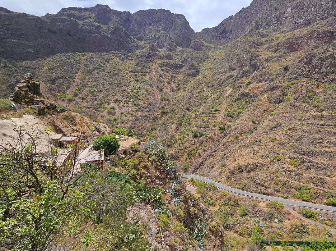 Barranco de Guayadeque-Ingenio必去景点