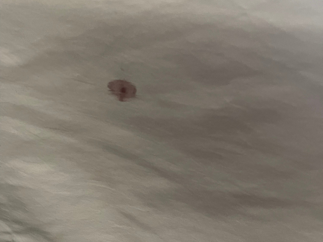 Quality Inn & Suites主图