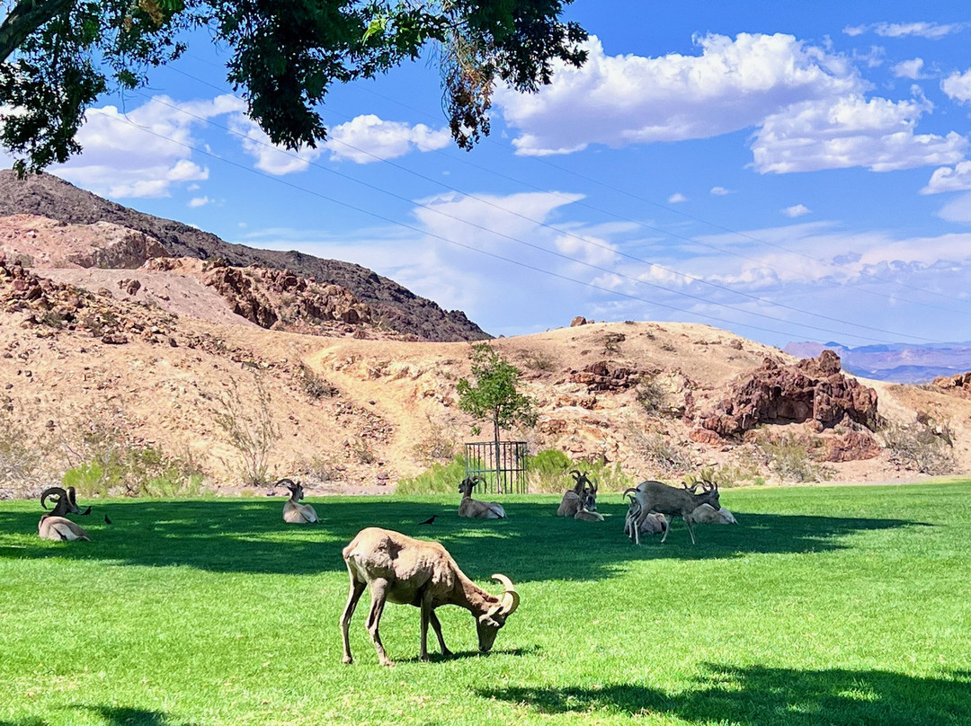 Hemenway Park-博尔德城必去景点