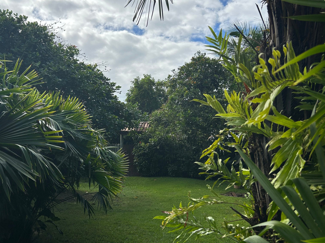 Caraiva Guesthouse主图