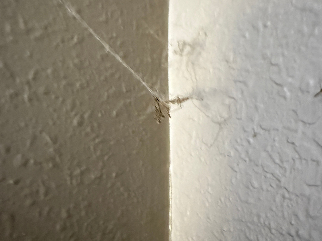 Super 8 by Wyndham Cookeville, TN主图