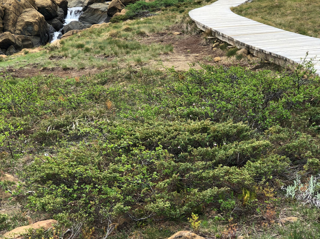 McCarthy's Party - Day Tours-圣约翰必去景点