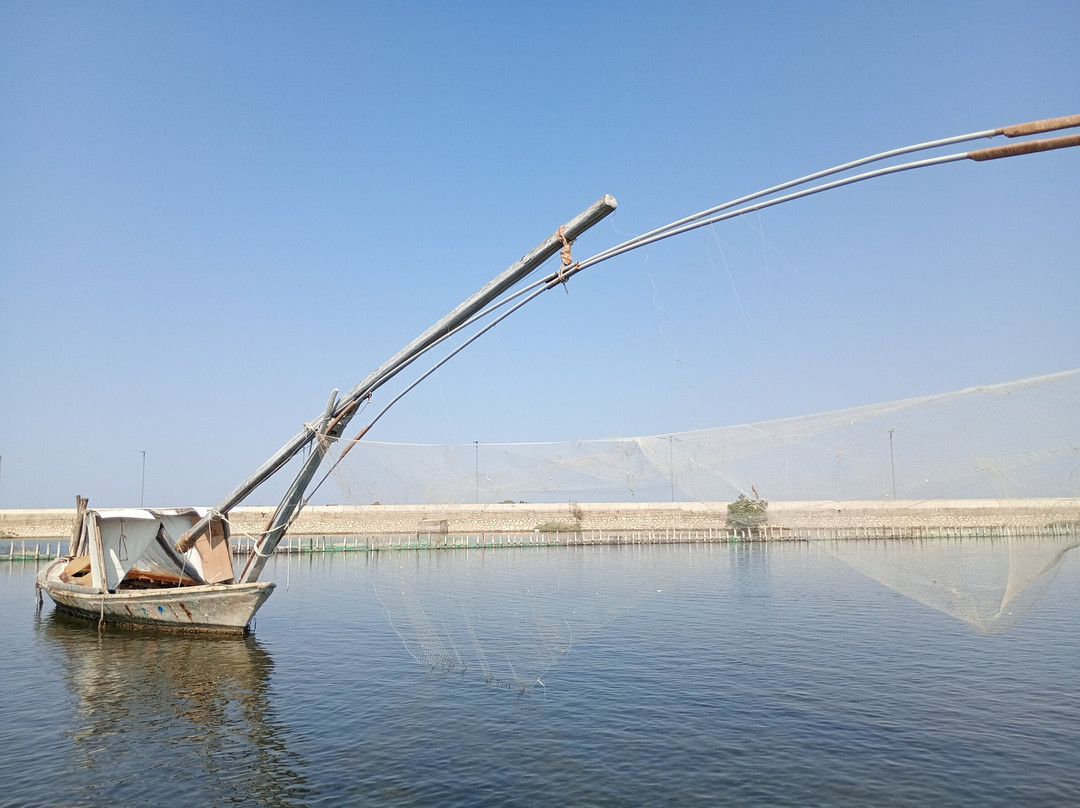 Messolonghi by Locals-Mesolongion必去景点