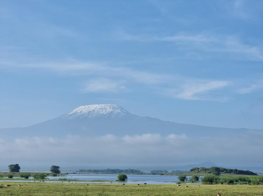Alexia Chevron Safari Kenya-Talek必去景点