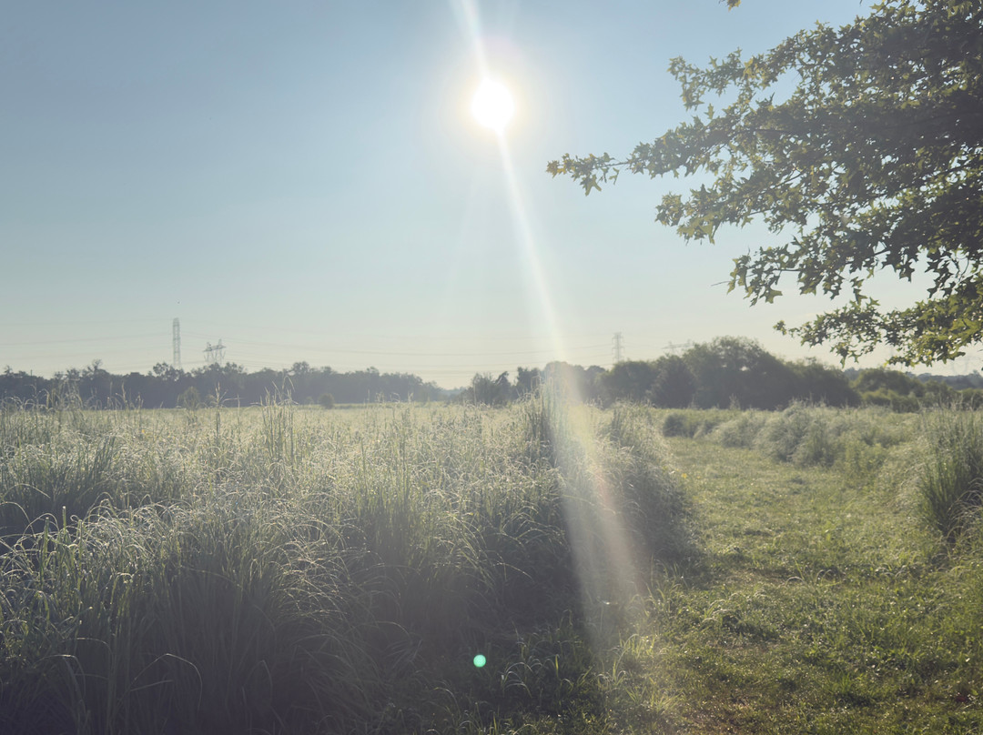 Negri-Napote Native Grassland Preserve-萨默塞特必去景点