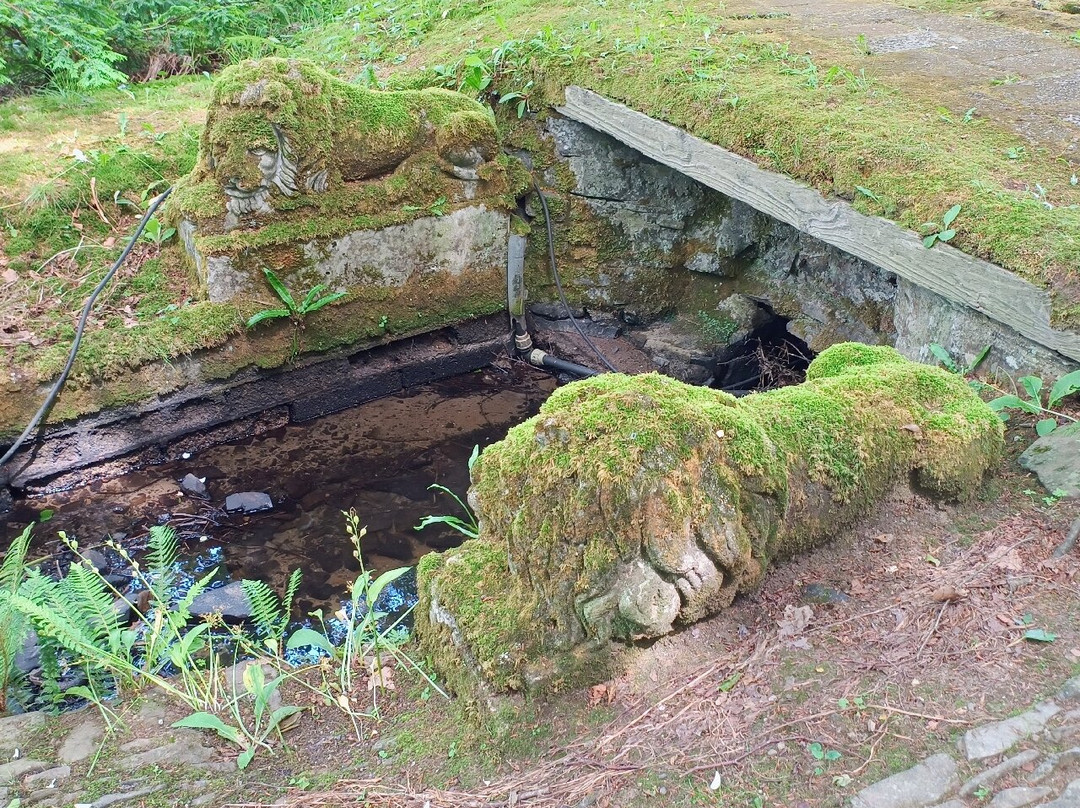 Docton Mill Gardens & Tea Rooms-Hartland必去景点