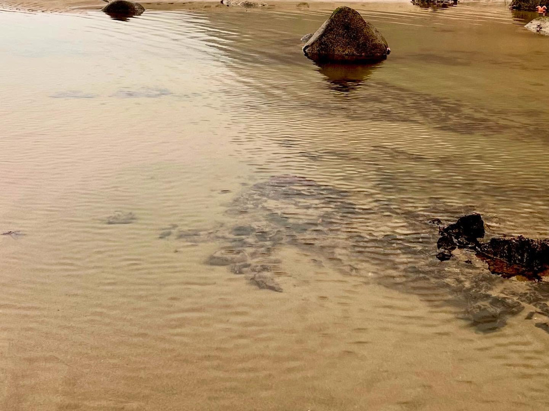 Oceanside Beach State Recreation Site-Oceanside必去景点