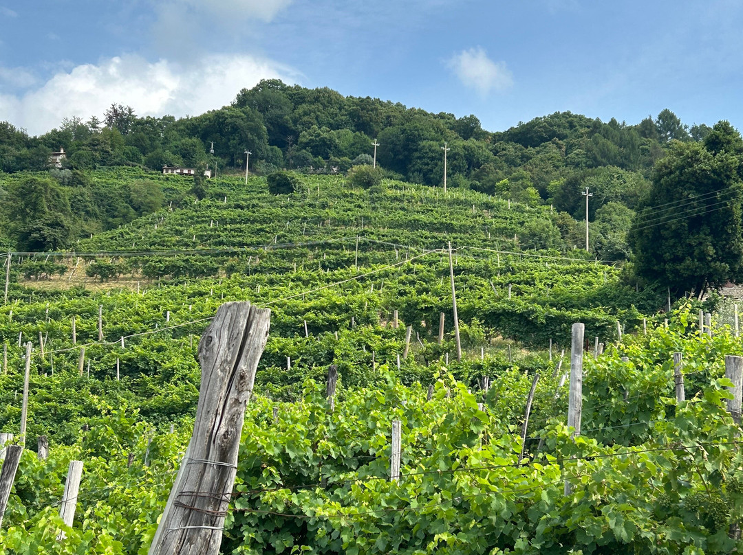 Ai Cadelach Hotel Ristorante Benessere主图