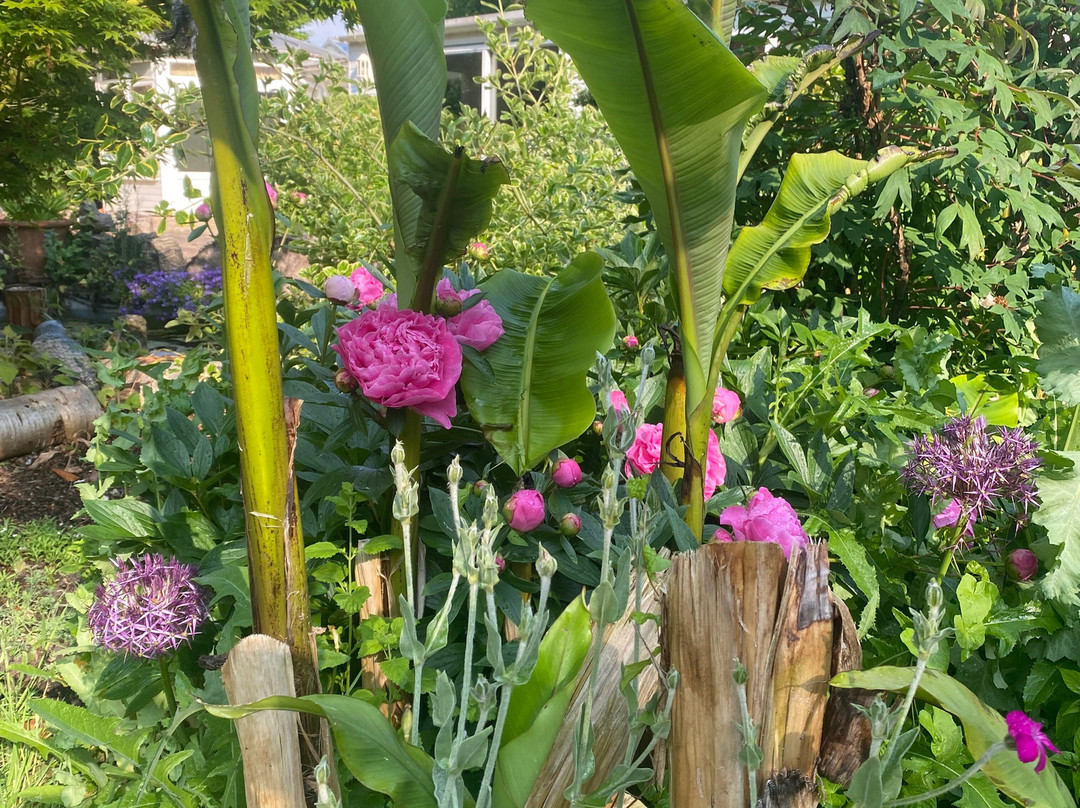 Tor Spa Retreat-Ickham必去景点