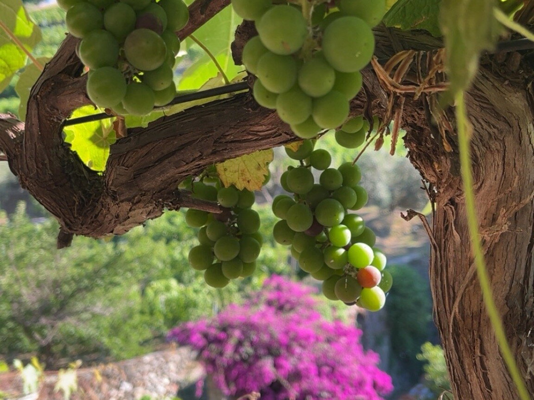 Buranco Agriturismo-滨海蒙特罗梭必去景点