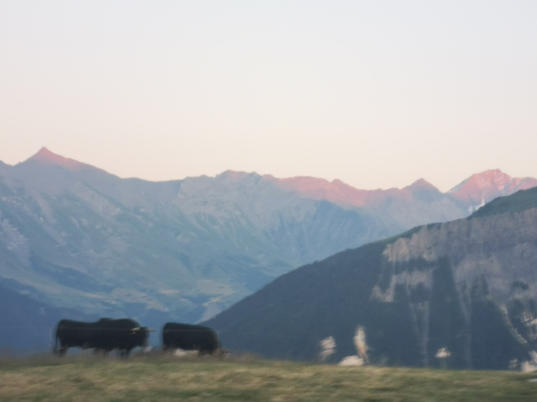 White Forest-Fontcouverte-la-Toussuire必去景点