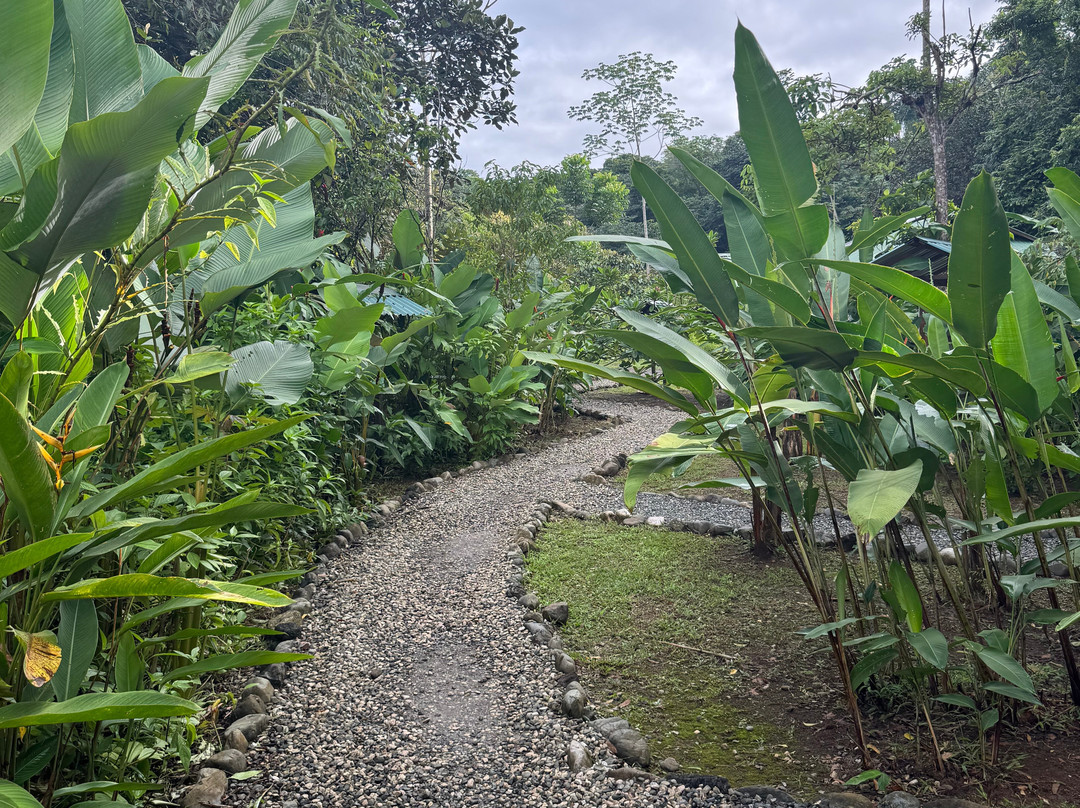 Osa Conservation Campus-希门尼斯港必去景点