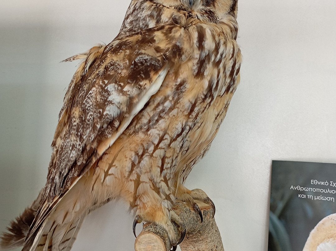 Akamas Avifauna And Flora Visitor Centre-卡西卡斯必去景点