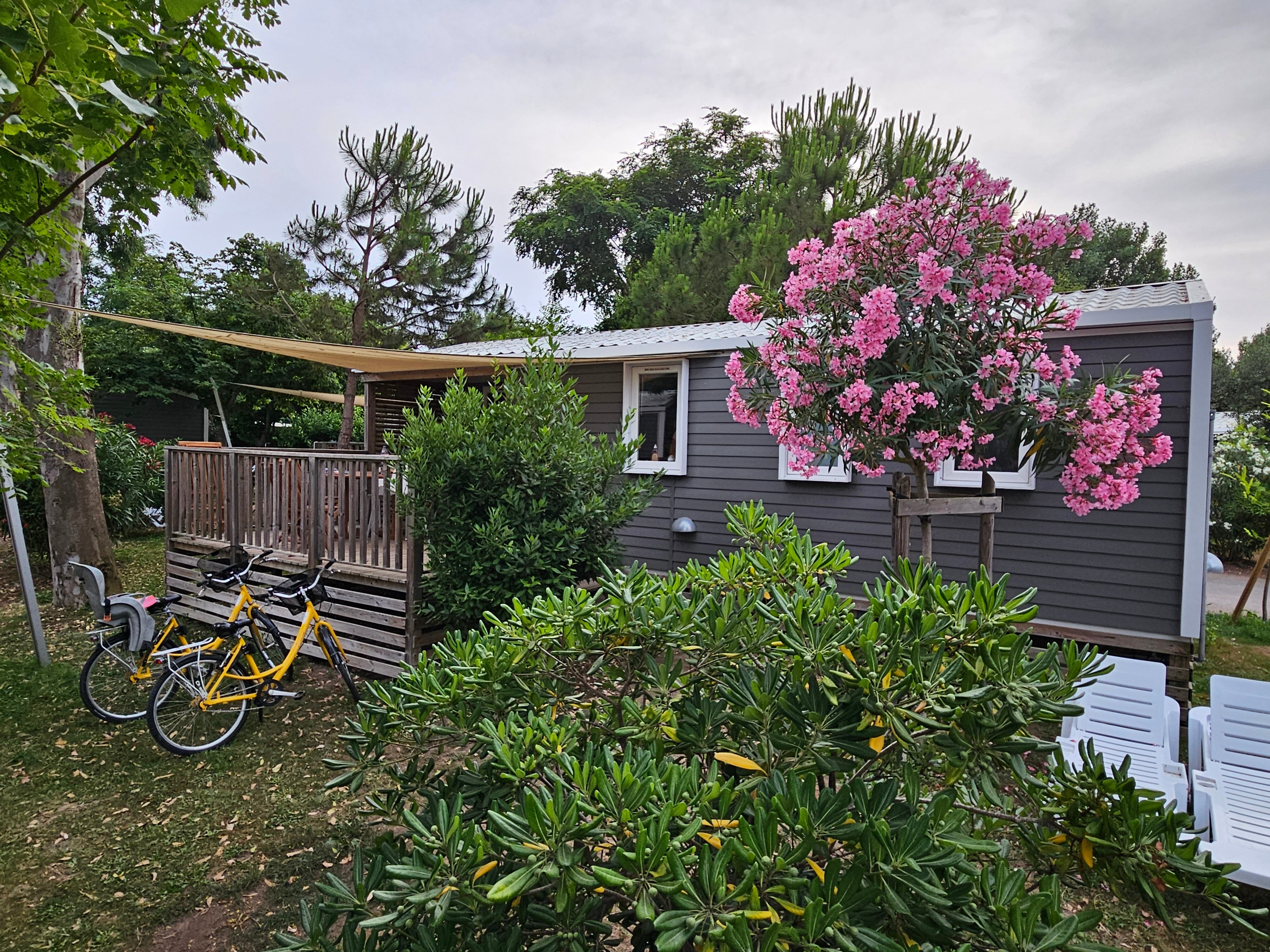 Camping Yelloh! Village Le Sérignan-Plage-官方