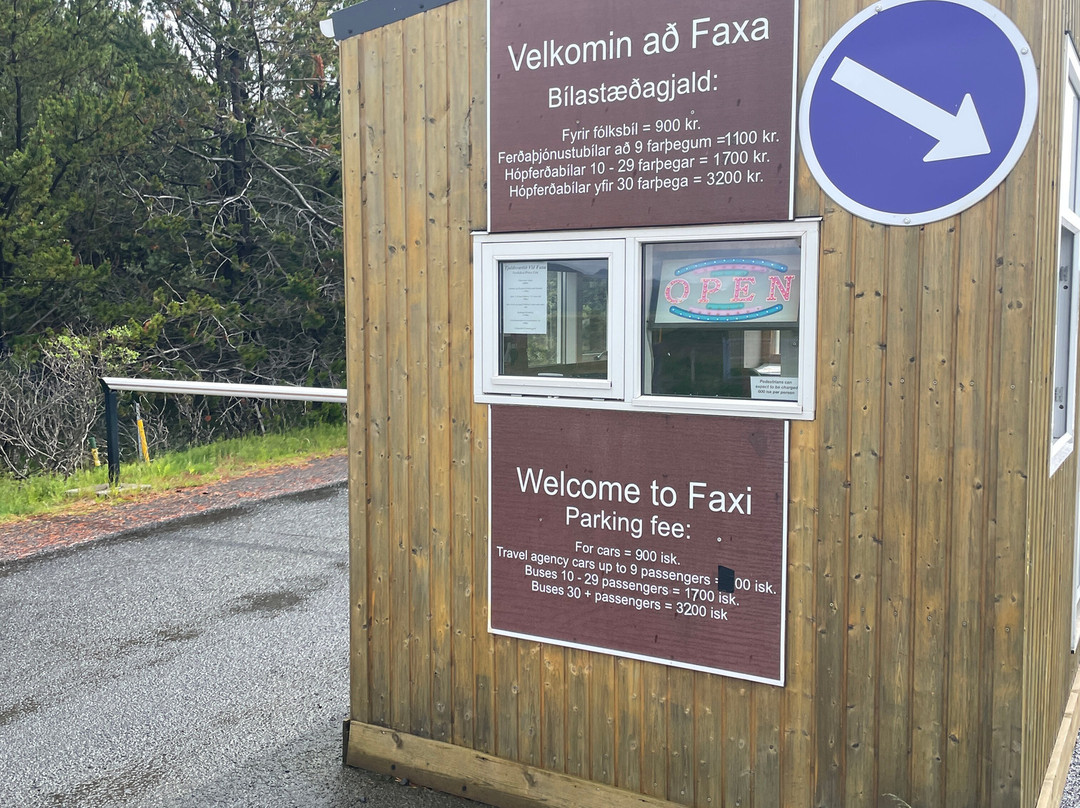Faxi (Vatnsleysufoss) Waterfall-Skalholt必去景点