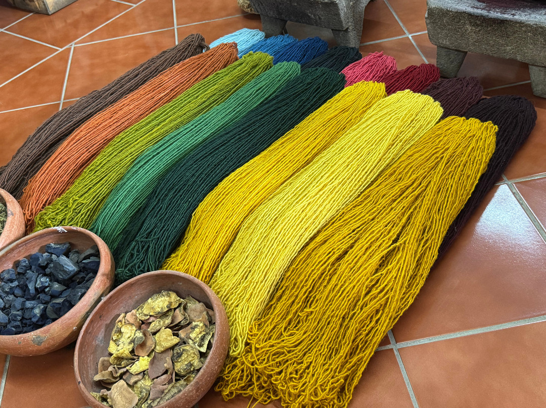 Shenic Tours-瓦哈卡必去景点