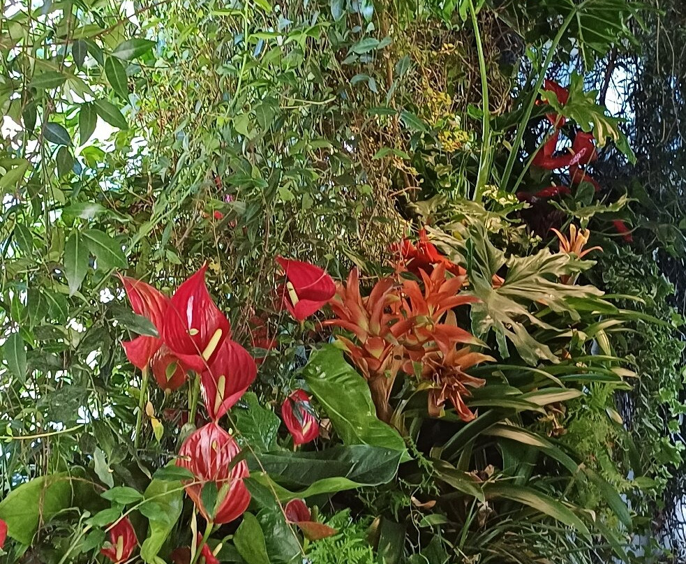 Bus Garden-切尔诺比奥必去景点