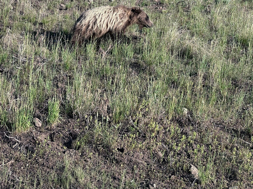 Yellowstone Hiking Guides-黄石国家公园必去景点