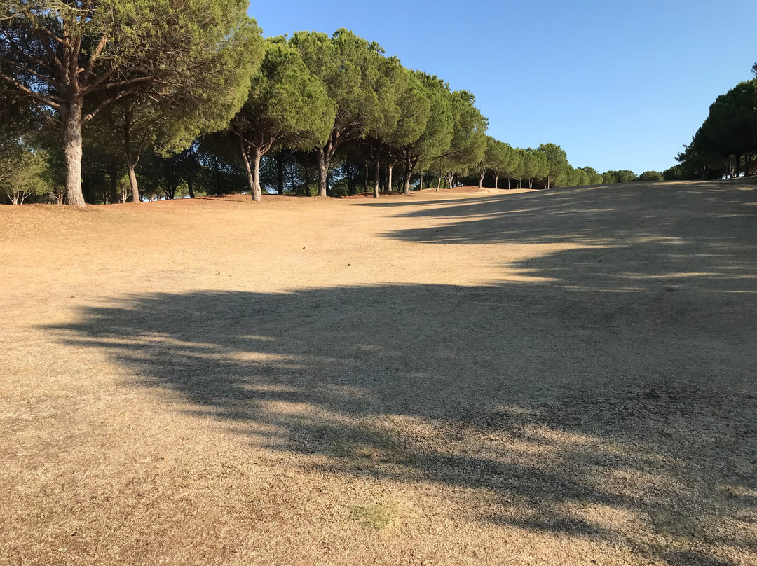 Pinheiros Altos-阿尔加威必去景点