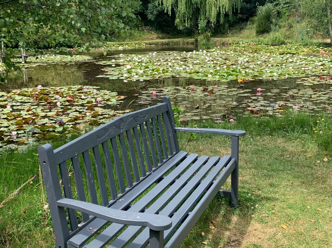 Bennetts Water Gardens-Chickerell必去景点
